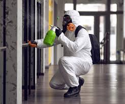 Professional Mold Remediation in Greensburg, PA